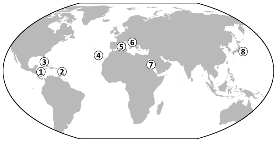 figure image